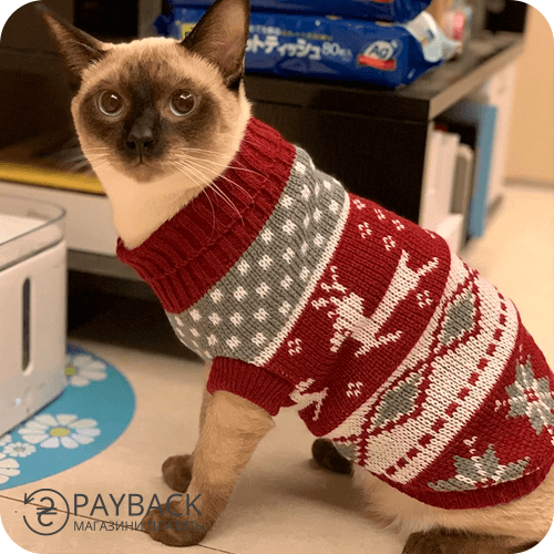 Новорічний светр для кішок і собак купити з кешбеком